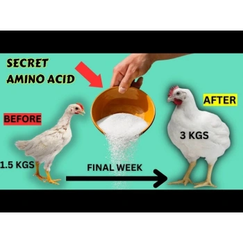 Nutrimix-Güçlü Gelişim -Amino asit -Kurumayı iyileştirir- antibiyotiksiz üretime destek vitamin -100ml