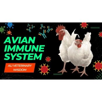 Se+Vit E, Vitamin - Üreme artışı ve Bağışıklık artırıcı Antioksidan vitamin 100ml