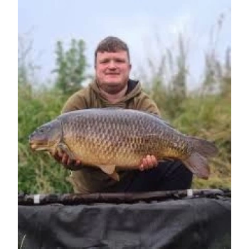 Bütirik asit - saf Toz 100gr - Balık avcılığı, Balık Yemi