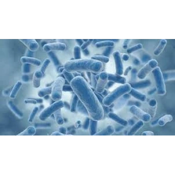 Probiyotik Sıvı - Simbiyotik , Sindirim sistemi düzenleyici - 100ml