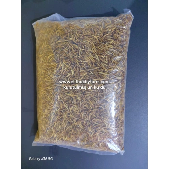 Un kurdu/ Kurutulmuş-100gr