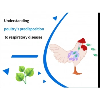 Nefes açıcı -Üst solunum rahatsızlıkları için , balgam söktürücü vitamin - 100ml