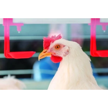 Sıvı Mineral - Verim artışı, Büyüme geriliği için vitamin, -100ml