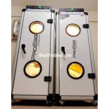 Yumurta Basım Hizmeti - Adet