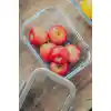 Fika Glace Cam Saklama Kabı 1900 ml. Gri