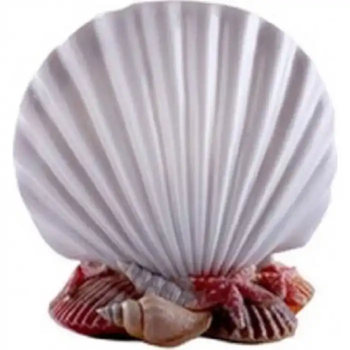 İnci Diş Fırçalık