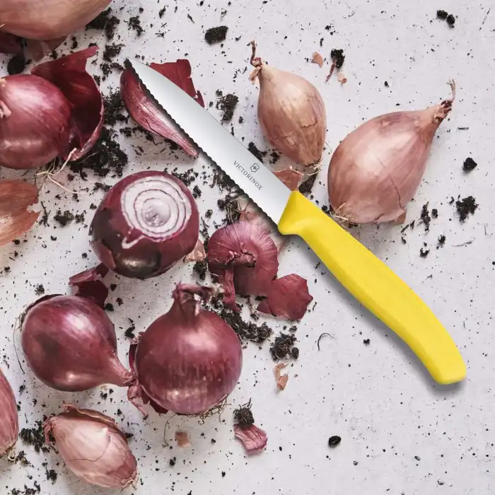 6.7736.L8 10 cm. Tırtıklı Sivri Bıçak Sarı