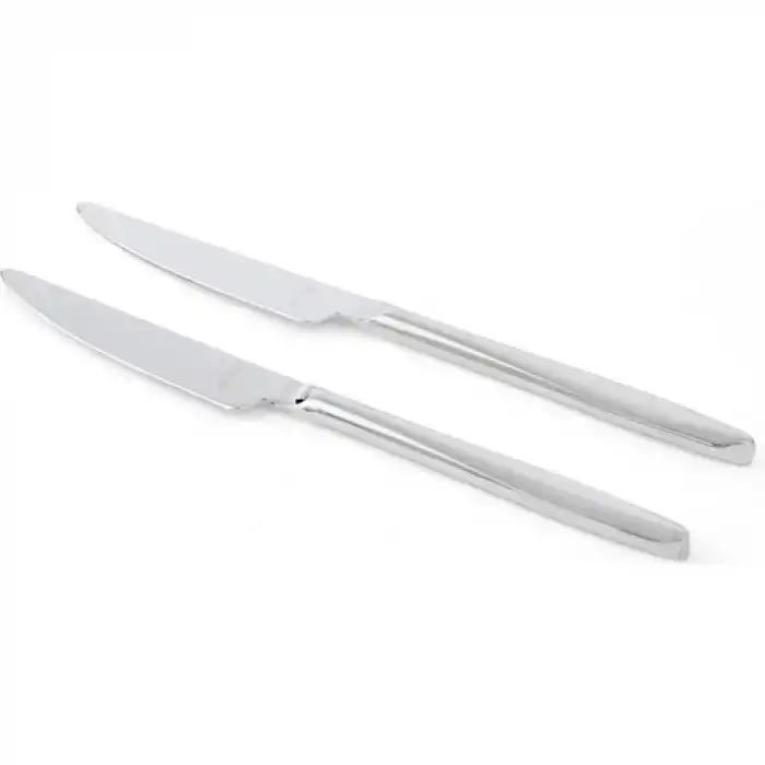 Elegant 2 Adet Yemek Bıçak Vakumlu