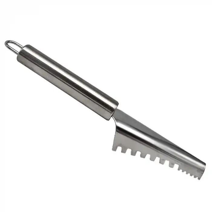 Balık Pulu Temizleyici