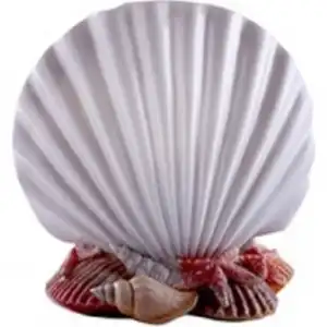 İnci Diş Fırçalık