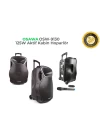 OSAWA OSW-9130 30INC PORTATİF ANFİ-TEK EL