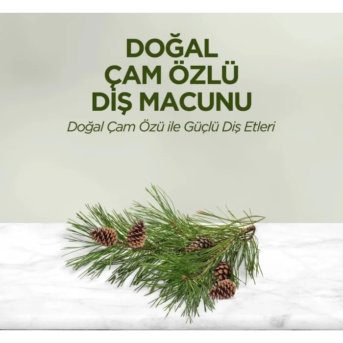 Eyüp Sabri Tuncer Doğal Çam Özlü Diş Macunu 90 ml