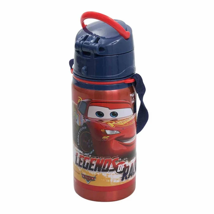 Özel Koleksiyon Kutulu Çelik Matara 500 Ml