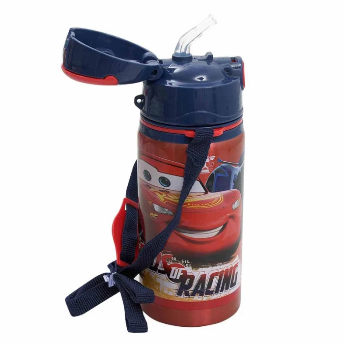 Özel Koleksiyon Kutulu Çelik Matara 500 Ml