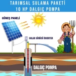 10hp Dalgıç Pompa Tarımsal Sulama Sistemi