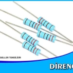 Direnç 1 Ohm 1/4w (1000 Adet)