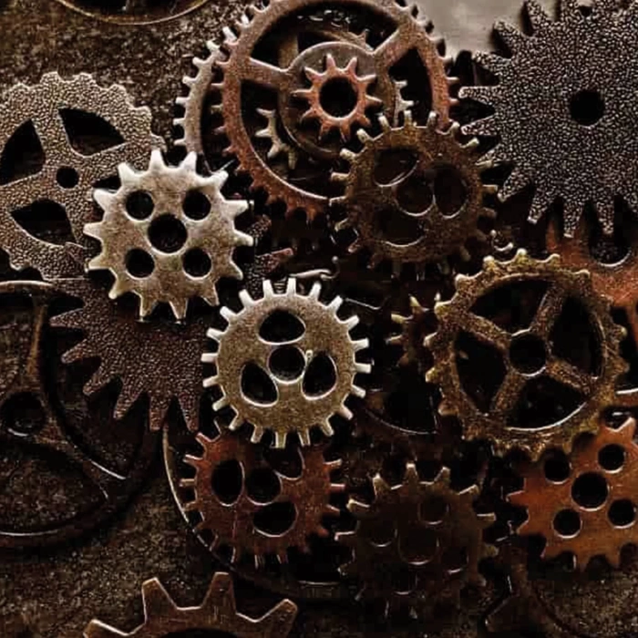 Shumanss Pas Sökücü 1 Lt