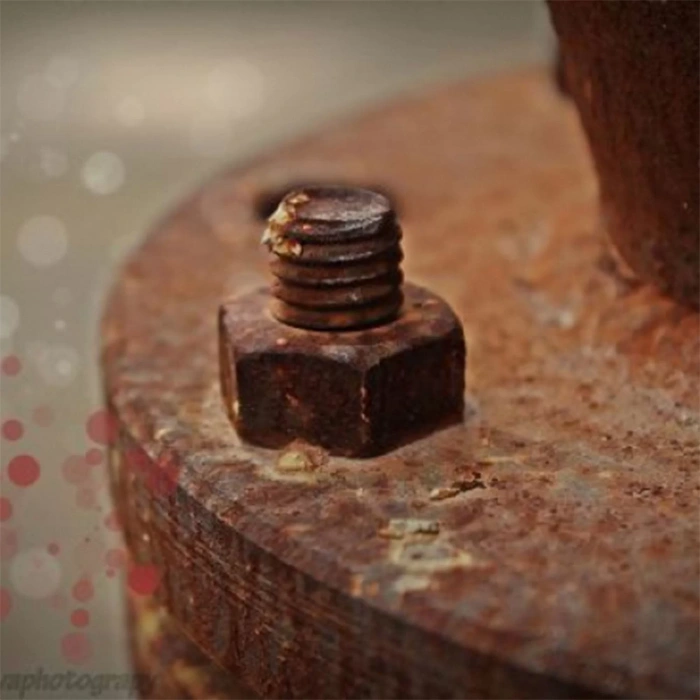 Shumanss Pas Sökücü 1 Lt