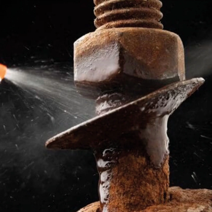 Shumanss Pas Sökücü 1 Lt