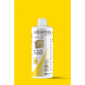 Aquacool Trend Su Bazlı Akrilik Dönüşüm Boyası RAL 1018 Çinko 500ml