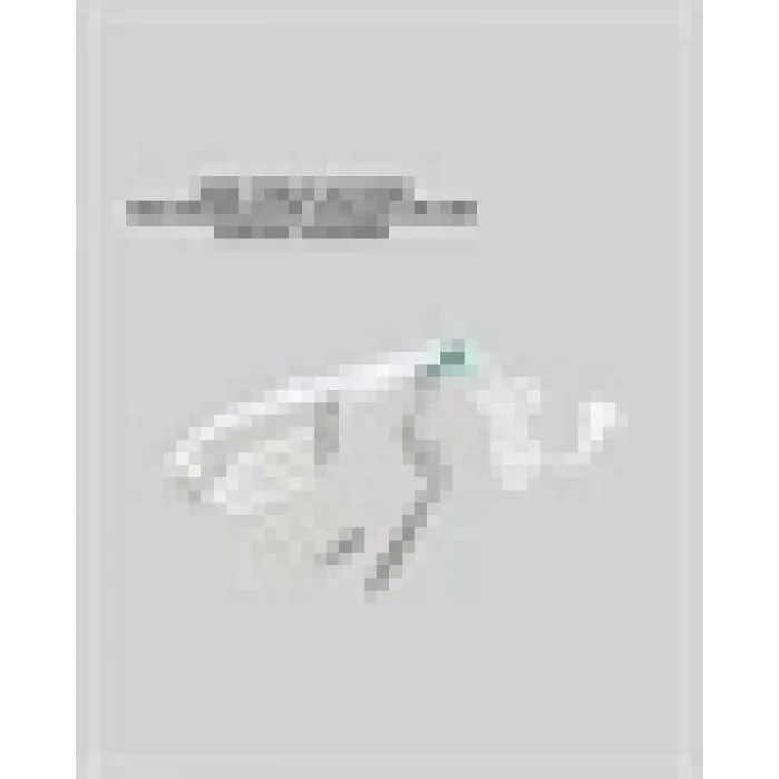 1500W Buharlı Kırışıklık Giderici Ütü | Ev ve Seyahat Kullanımı İçin Uygun