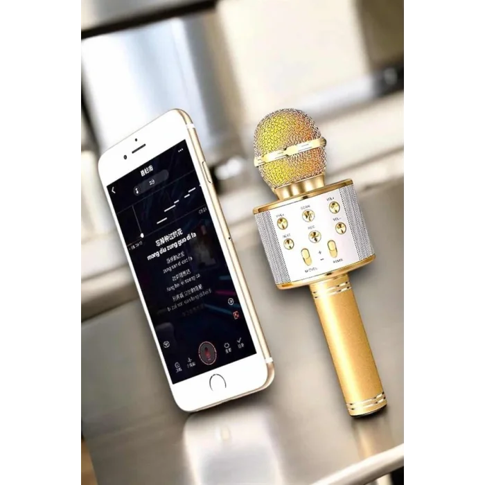 Şarjlı ve Uzun Pil Ömürlü Karaoke Mikrofon USB Bellek Destekli, Profesyonel Ses