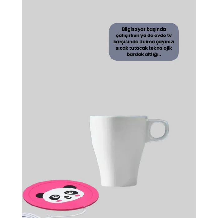 USB BARDAK ISITICI PANDA