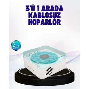 Dekoratif Gece Işıklı Bluetooth Hoparlör – Zaman ve Pil Ekranlı