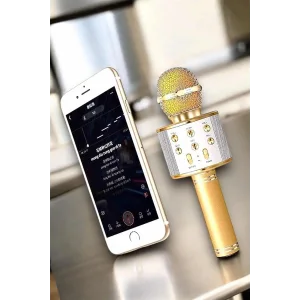 Şarjlı ve Uzun Pil Ömürlü Karaoke Mikrofon USB Bellek Destekli, Profesyonel Ses