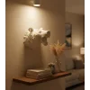Beyaz Renk 3D Ayı Başı Duvar Dekoru