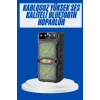 Büyük Boy Bluetooth Hoparlör Çoklu Bağlantı Çift Çıkışlı Taşınabilir Kesintisiz