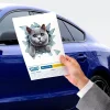 Fulcar Kedi Tasarımlı Araç Stickerı