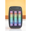 Kablosuz Bluetooth Hoparlör Taşınabilir 6.5 inç LED Işık Kareoke