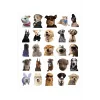 Sevimli Köpek Çıkartmaları Laptop Notebook Tablet Sticker Seti