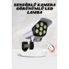 Solar Lamba Kamera Görünümlü Duvar Lambası Dönebilen Bahçe Aydınlatması