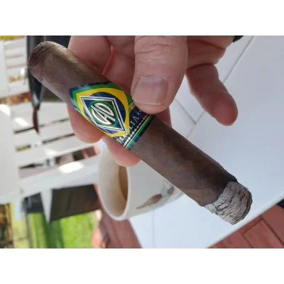 CAO Brazilia Gol Puro 20li