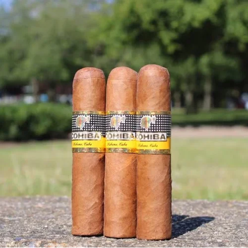 Cohiba Siglo 1 - 25li Ahşap Kutu