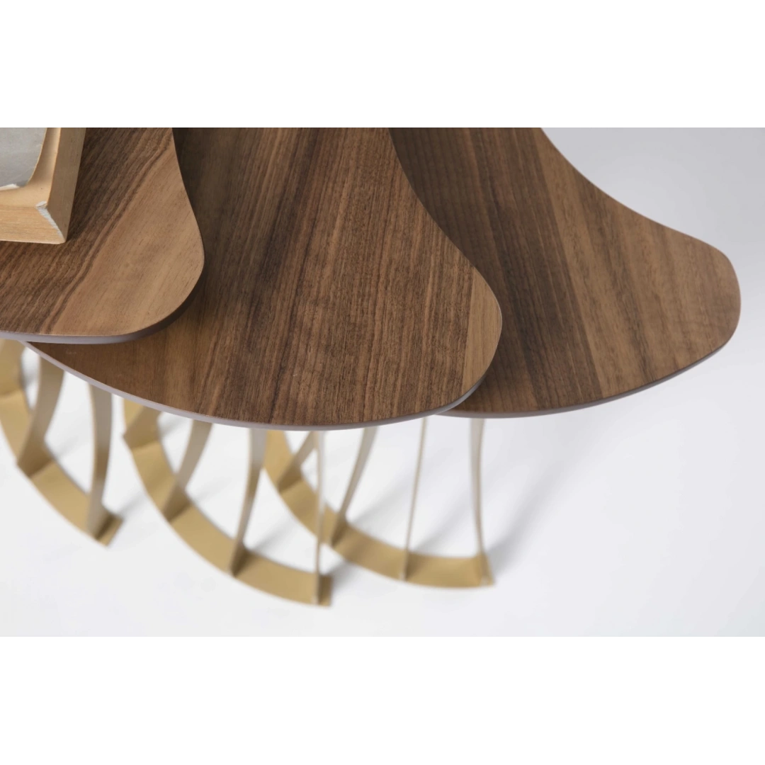 Carmen Zigon Sehpa (Pirinç)