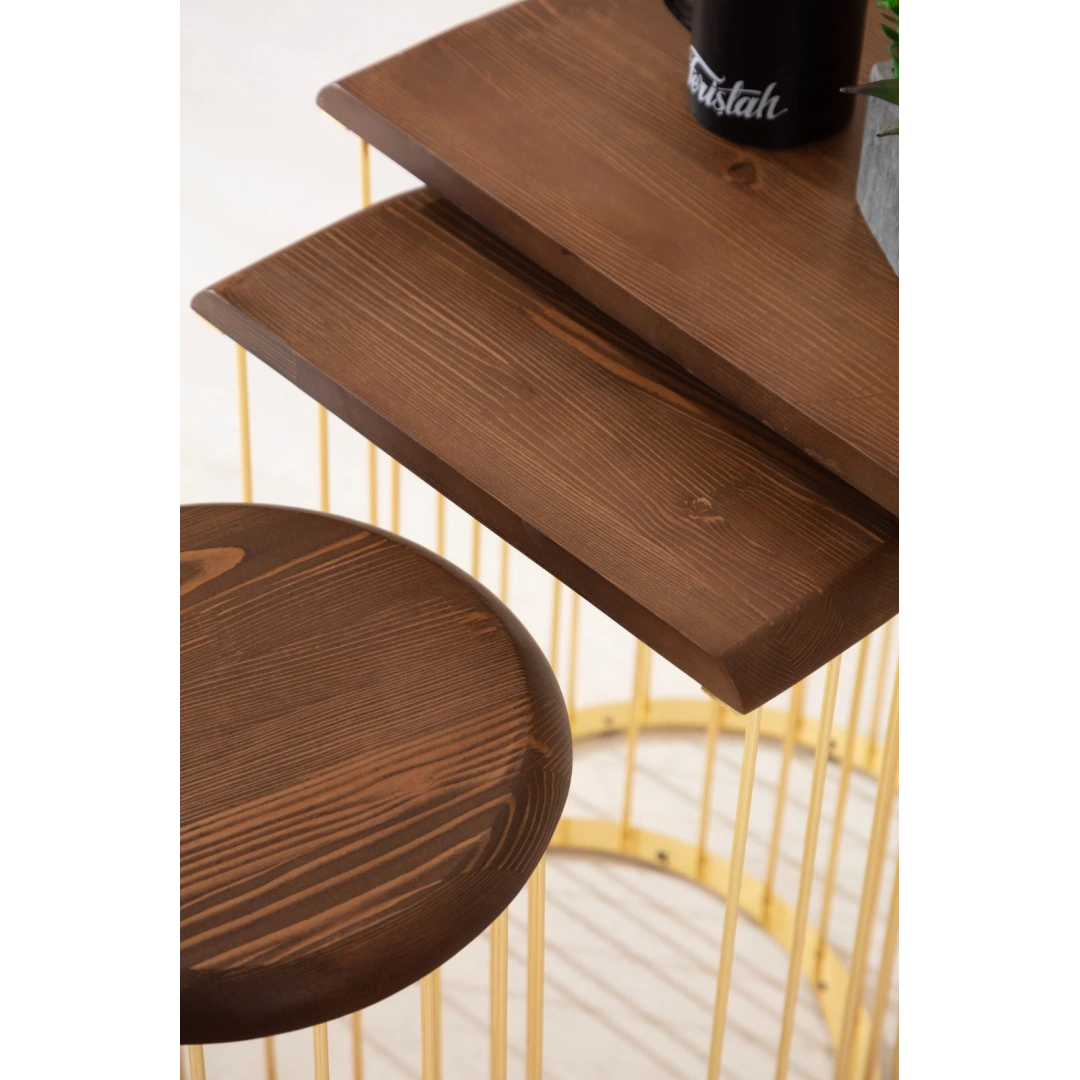 Nova Zigon Sehpa (Gold)