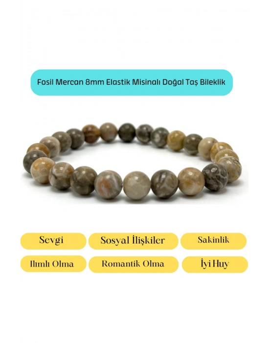 Sertifikalı Fosil Mercan 8mm Elastik Misinalı Doğal Taş Bileklik