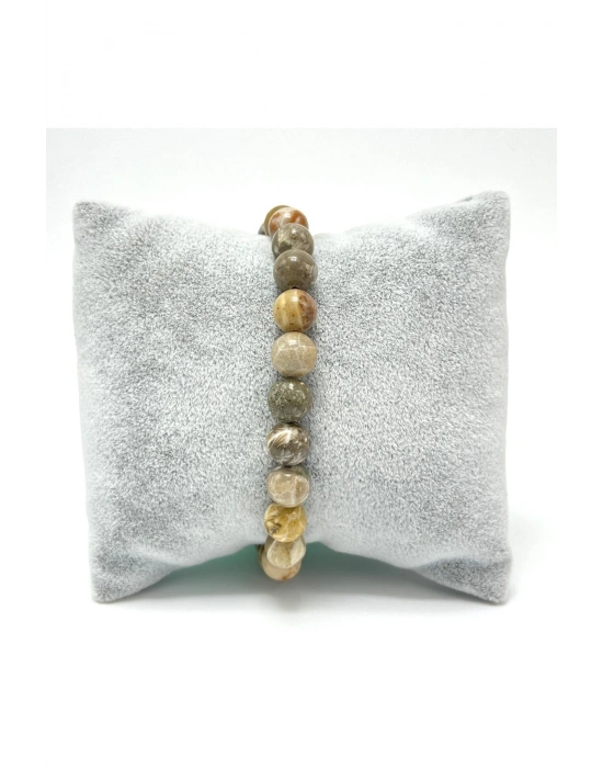 Sertifikalı Fosil Mercan 8mm Elastik Misinalı Doğal Taş Bileklik