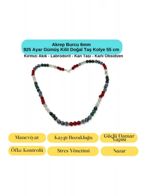 SERTİFİKALI Akrep Burcu 6mm 925 Ayar Gümüş Doğal Taş Kolye 55 cm