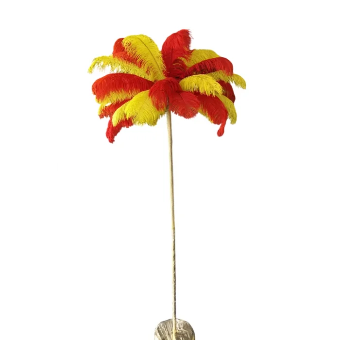 Sarı Kırmızı Deve Kuşu Tüyü Lambader