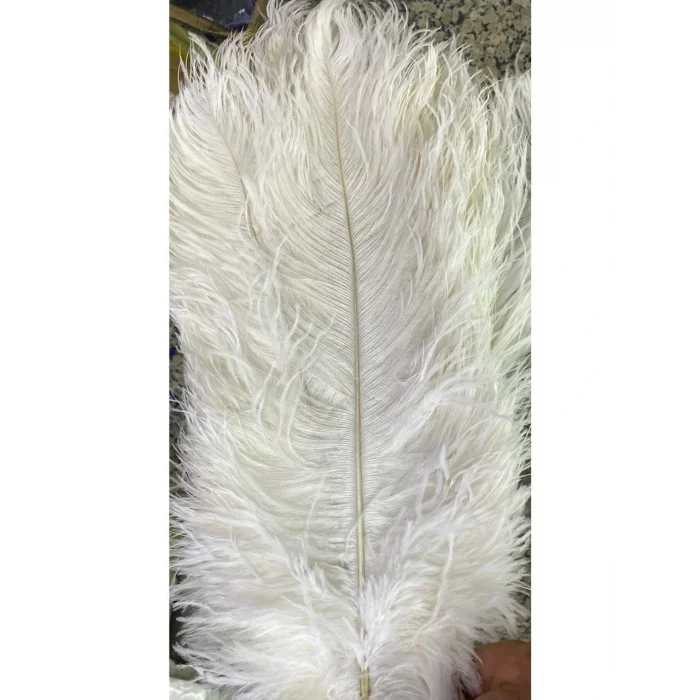 Glop Camlı Deve Kuşu Tüylü Sarkıt Avize