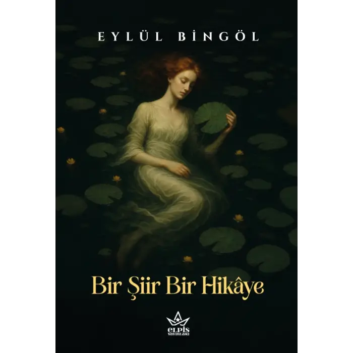 Bir Şiir Bir Hikâye