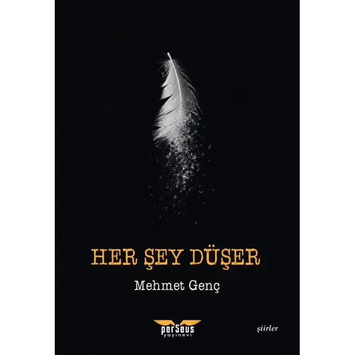 Her Şey Düşer