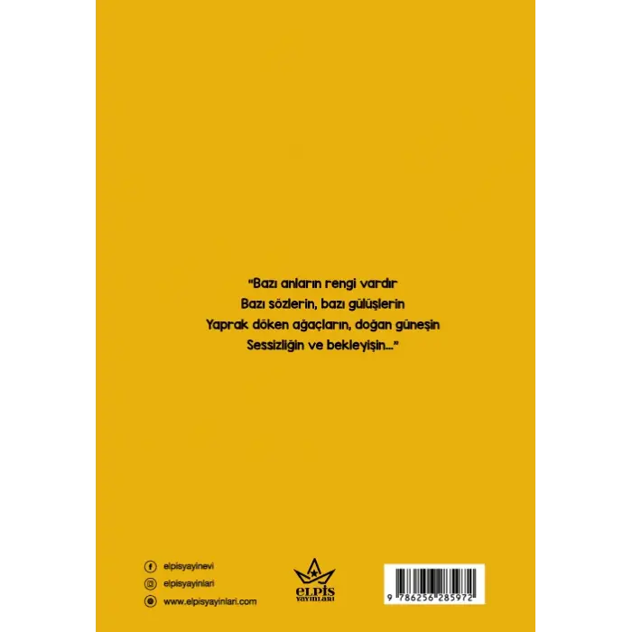 Rastlaşınca - Nurdan Kasar - Elpis Yayınları