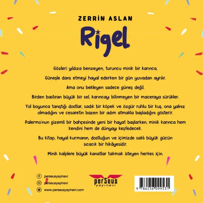 Rigel - Zerrin Aslan - Perseus Yayınevi