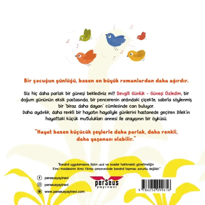 Sevgili Günlük: Güneşi Özledim