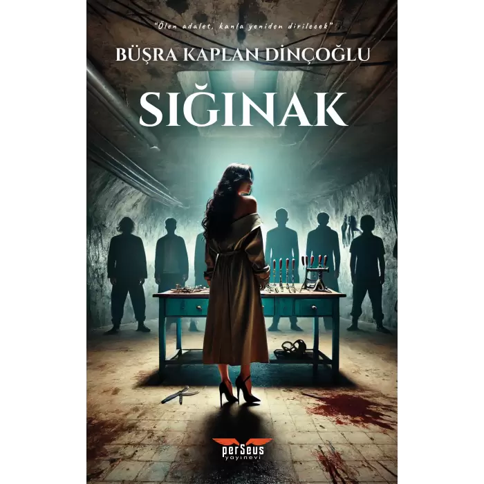 Sığınak - Büşra Kaplan Dinçoğlu, Perseus Yayınevi,